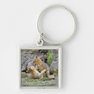South American Grey Fox (Lycalopex griseus) pair 2 Key Ring