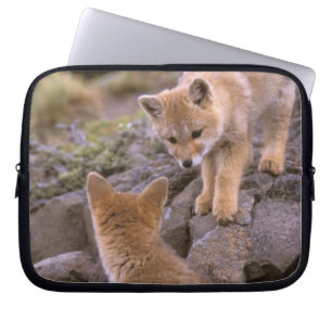 South American Grey Fox (Lycalopex griseus) pair Laptop Sleeve