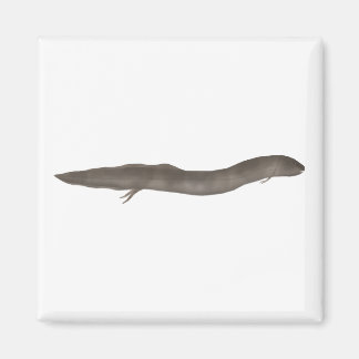 South American Lungfish Magnet