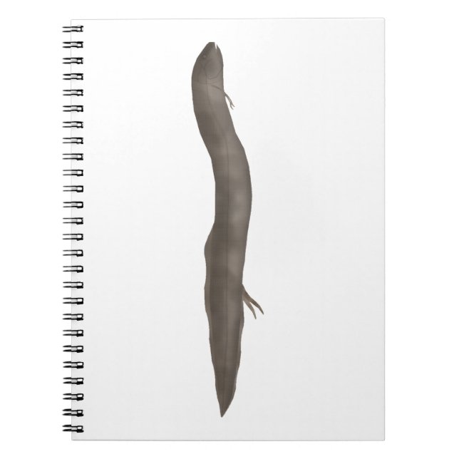 South American Lungfish Notebook (Front)