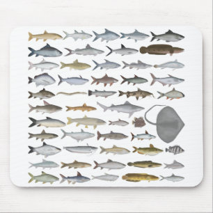 South Asia Freshwater Fish Group Mouse Pad
