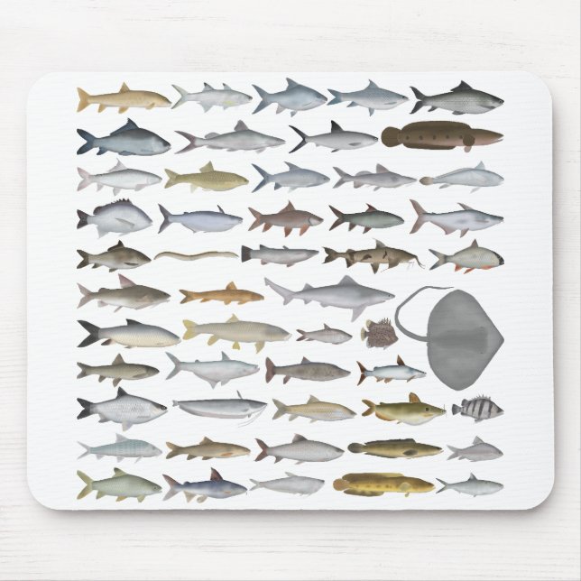 South Asia Freshwater Fish Group Mouse Pad (Front)