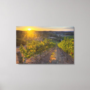 South Australia, Adelaide Hills, Summertown. Canvas Print