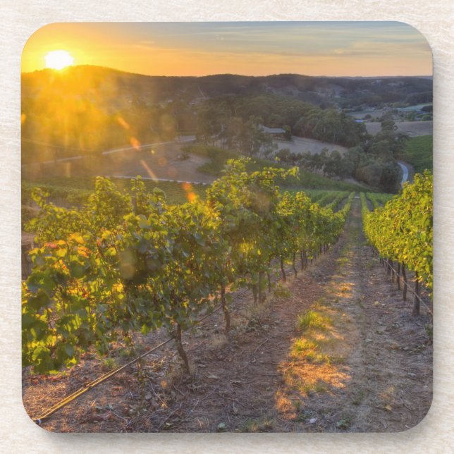 South Australia, Adelaide Hills, Summertown. Coaster (Front)
