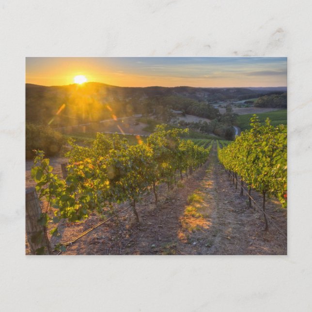 South Australia, Adelaide Hills, Summertown. Postcard (Front)