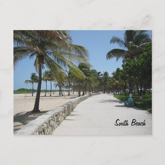 South Beach Postcard (Front)