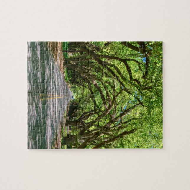 South Boundary Green Glow Jigsaw Puzzle (Horizontal)