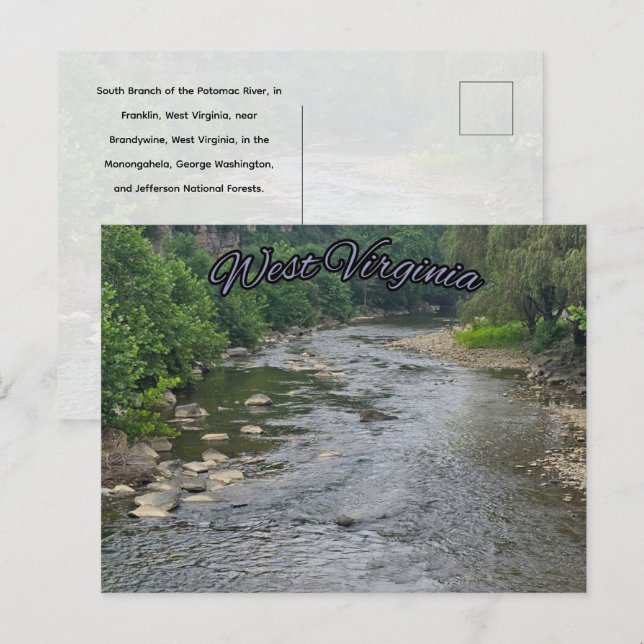 South Branch of the Potomac River Postcard (Front/Back)