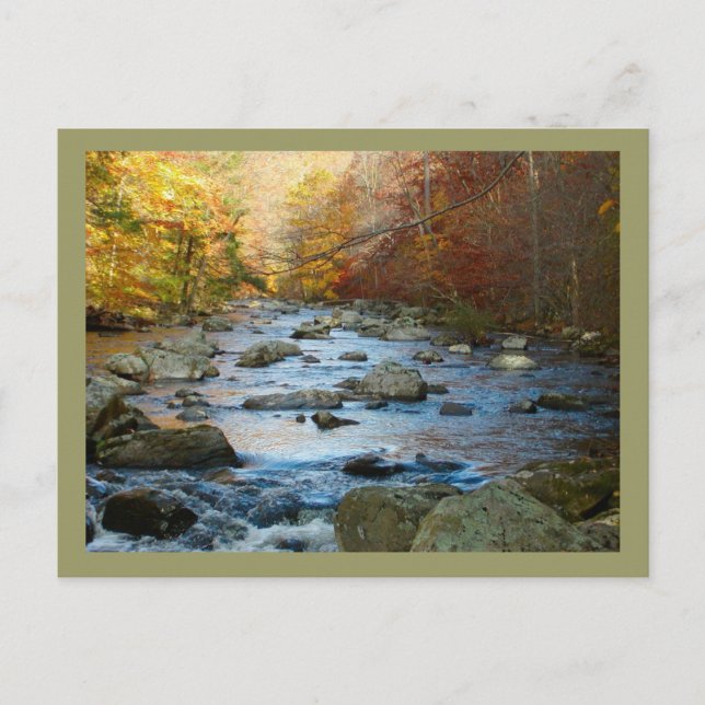 South Branch, Raritan River Postcard (Front)
