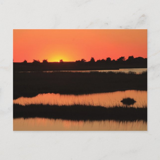 South Cape Beach Marshes at Sunset Mashpee Cape Co Postcard (Front)