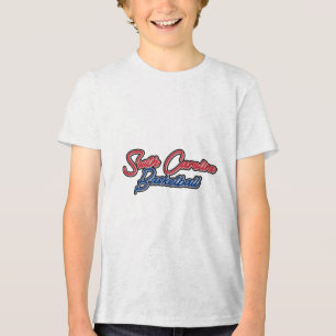 South Carolina Basketball (usa Colours) Tri-Blend Shirt