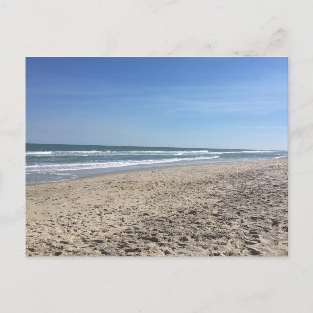 South Carolina Beach Shoreline Postcard (Front)