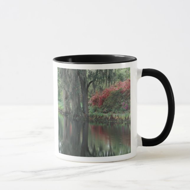 South Carolina, Charleston Mug (Right)