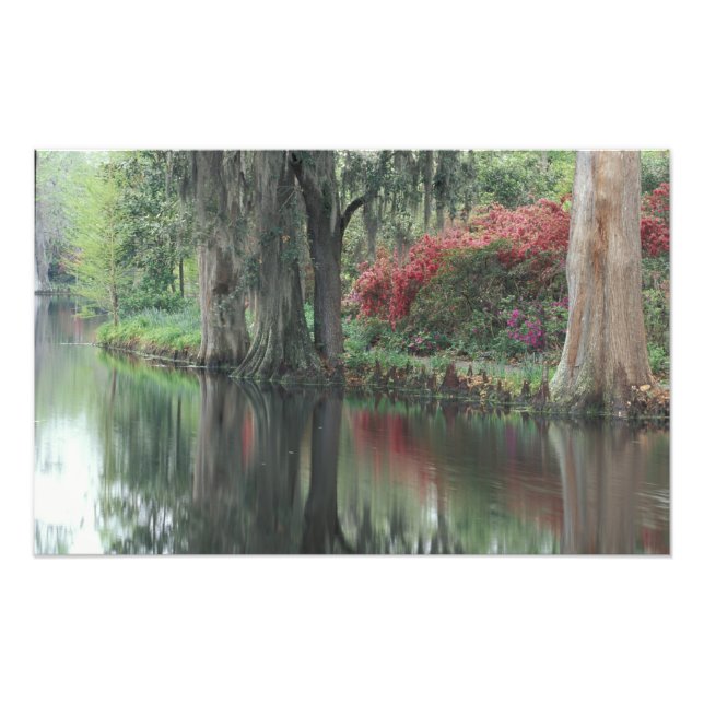 South Carolina, Charleston Photo Print (Front)
