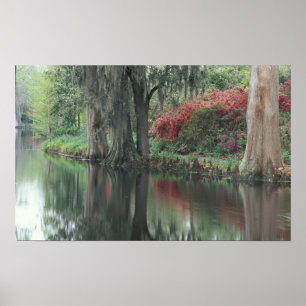 South Carolina, Charleston Poster