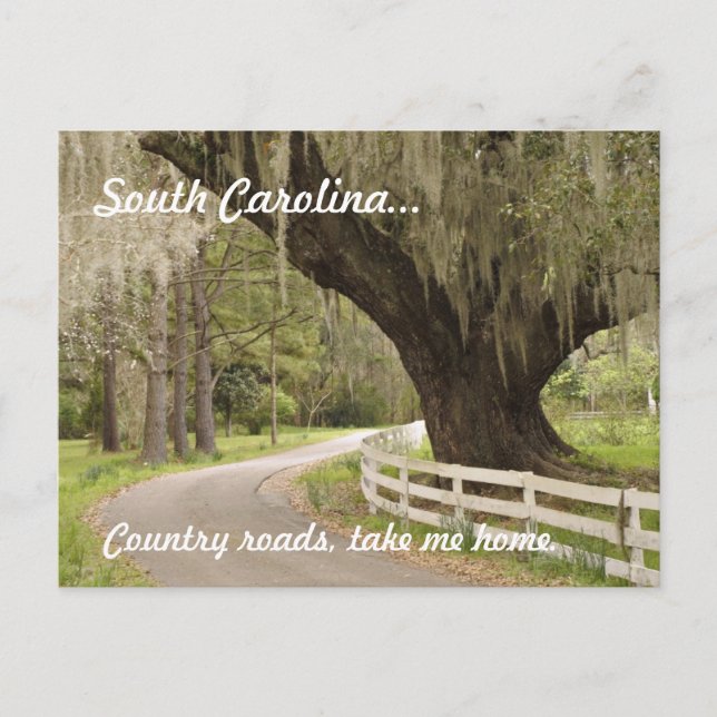 South Carolina country roads postcard (Front)