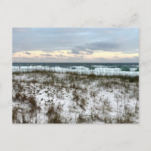 South Carolina Original Travel Photography  Postcard