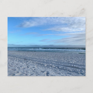 South Carolina Original Travel Photography  Postcard