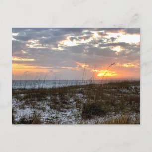 South Carolina Original Travel Photography  Postcard