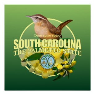 South Carolina State Bird & Flower Poster