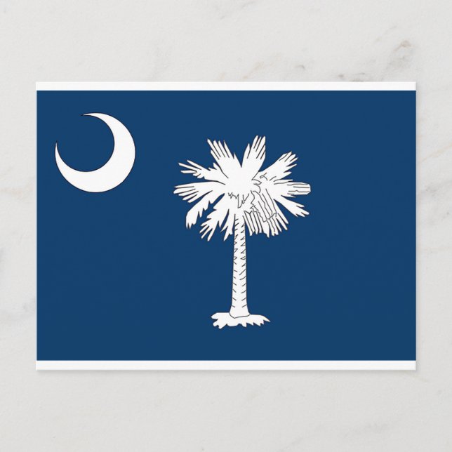 South Carolina State Flag Blue Palm Post Card (Front)
