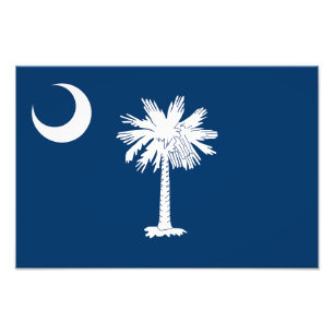 South Carolina State Flag Photo Print