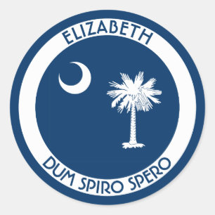 South Carolina The Palmetto State Personal Flag Classic Round Sticker