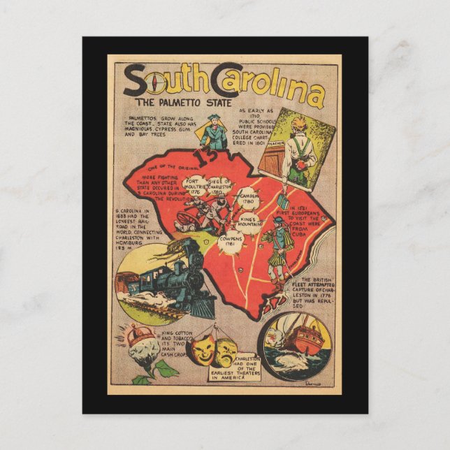South Carolina The Palmetto State Postcard (Front)