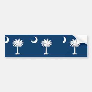 South Carolina, United States flag Bumper Sticker
