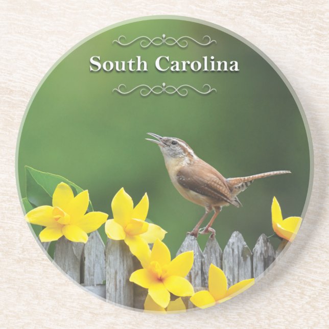 South Carolina Wren Coaster (Front)
