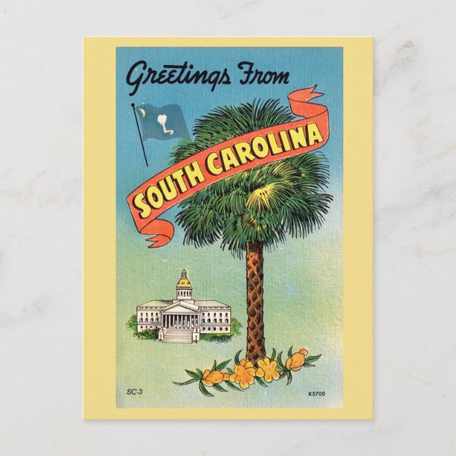 South Carolina's Cabbage Palm  Postcard (Front)