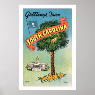 South Carolina's Palmetto Palm 16x24 Print