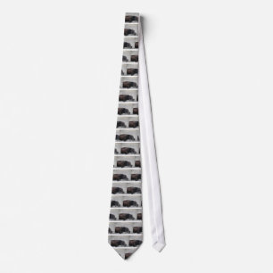 South Dakota Buffalo Nature Picture Tie