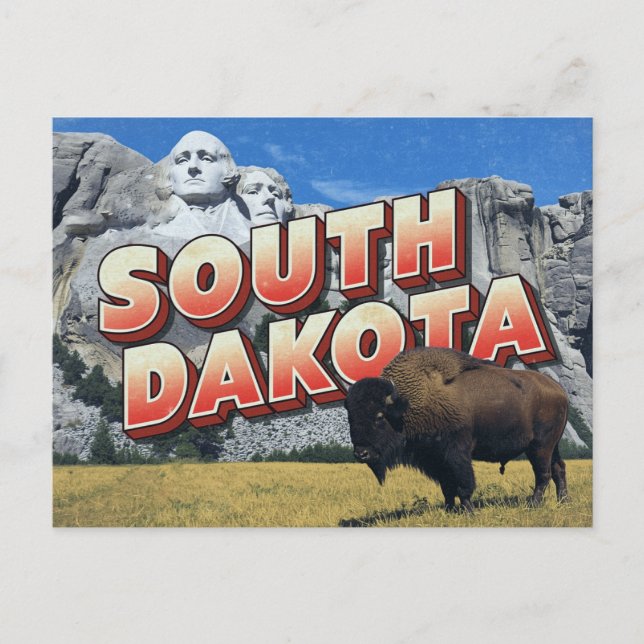 South Dakota Mount Rushmore Bison Postcard (Front)