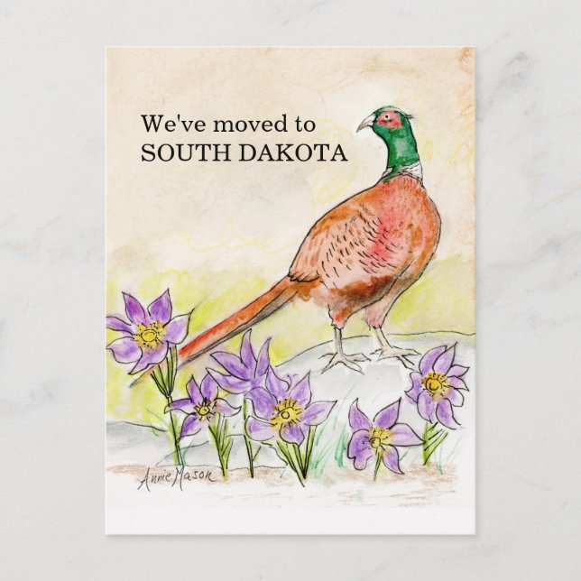 South Dakota Postcard (Front)