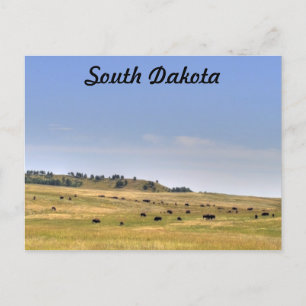 South Dakota Postcard