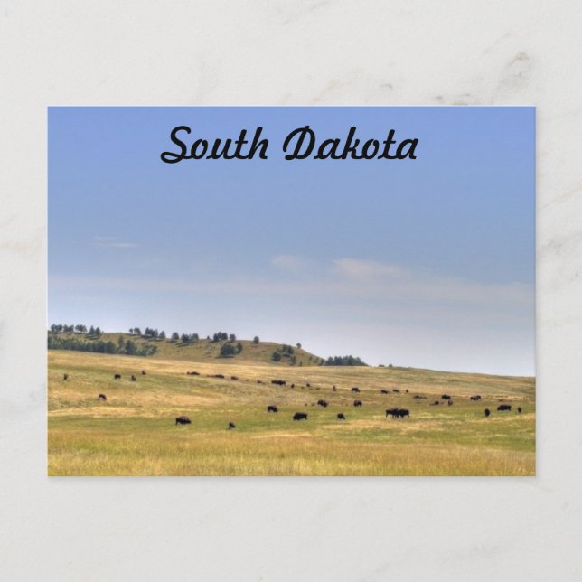 South Dakota Postcard (Front)