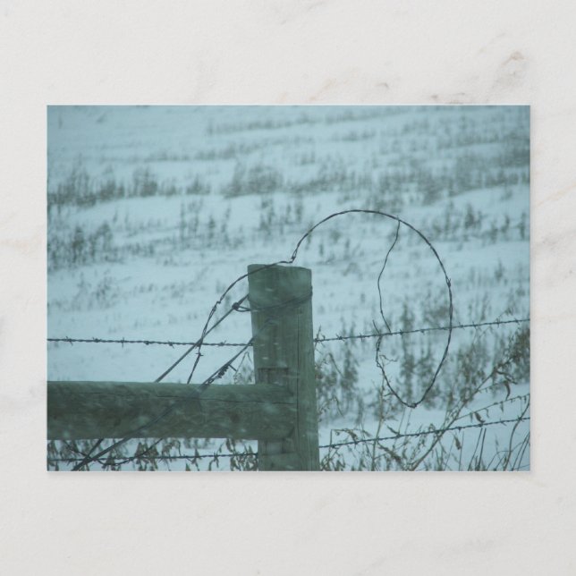 South Dakota Snowstorm Postcard (Front)