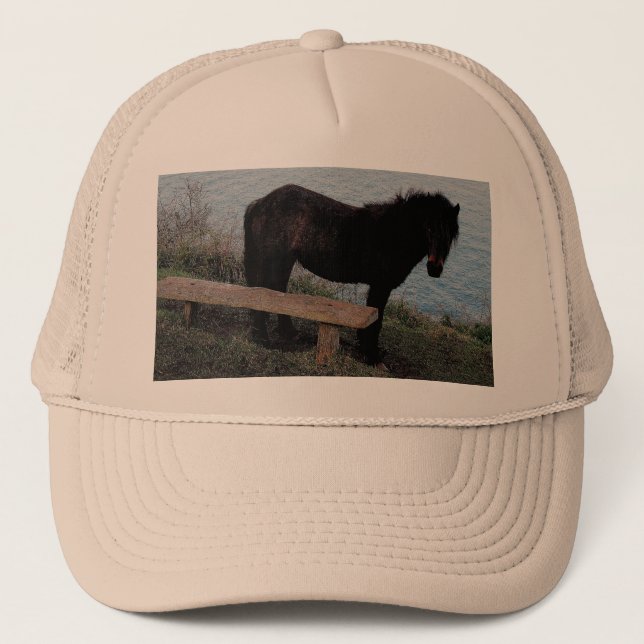 South Devon Dartmoor Pony Near Bench.3. Trucker Hat (Front)