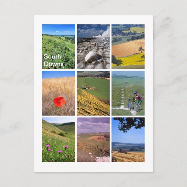 South Downs Postcard (Front)