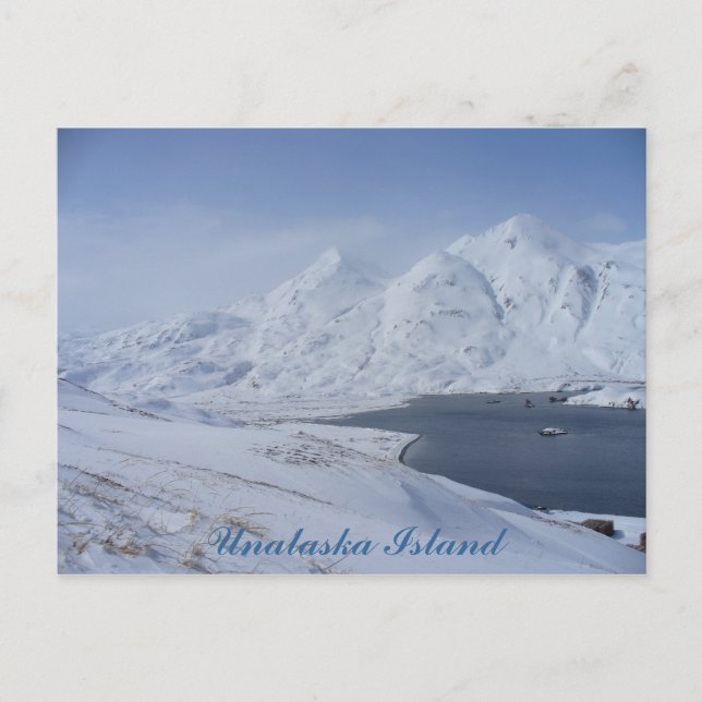 South End of Captain's Bay, Unalaska Island Postcard (Front)