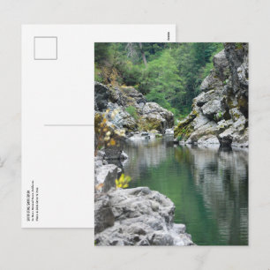 South Fork, Smith River CA Postcard