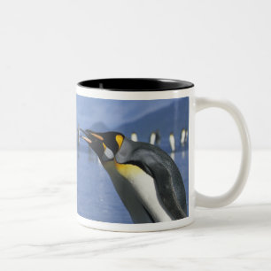 South Georgia Island, St. Andrews Bay, King Two-Tone Coffee Mug