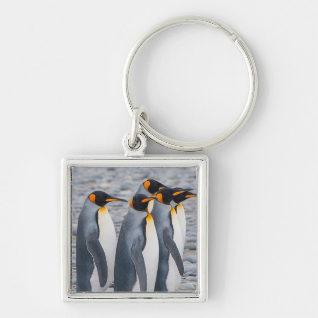 South Georgia. King penguins Key Ring (Front)