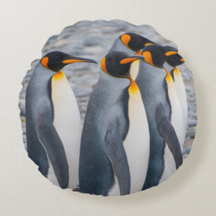 South Georgia. King penguins Round Cushion