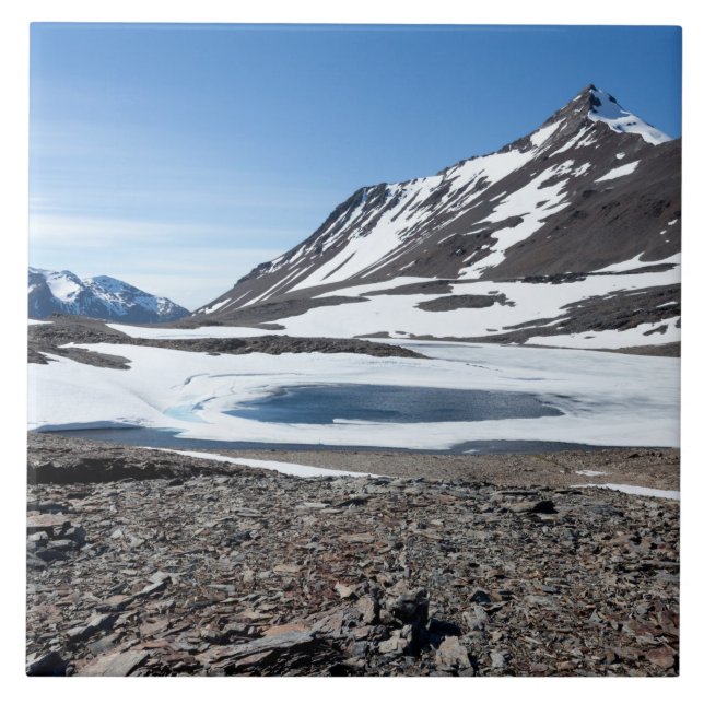 South Georgia Landscape Tile (Front)
