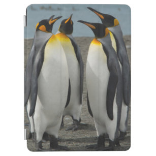 South Georgia. Saint Andrews. King penguins 8 iPad Air Cover