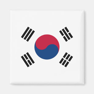 South Korea flag Magnet