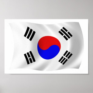 South Korea Flag Poster Print