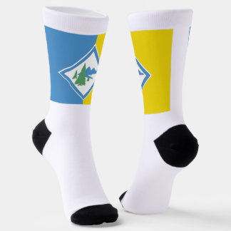 South Lake Tahoe (California) city flag Socks